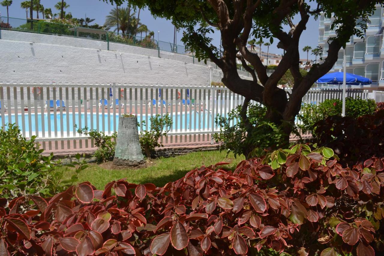 Apartmán Red Loft Deluxe - Vivienda Vacacional A Playa Del Ingles Exteriér fotografie